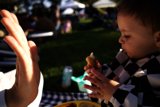 A Simple Joy: A Picnic in the Park