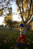 Wesley's First Frisbee Adventure in Downtown Sonoma Park