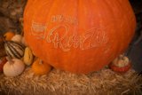 Pumpkins with a Twist: Big Sur Adventure 2023