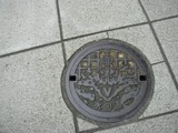 Japanese Design Manhole Cover