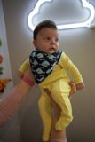 Little Charmer: Wesley at 2 Months