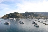 Boats at the Harbor