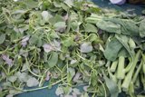 Greens Galore