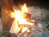 Flame in the Wood Pile