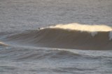 Conquering the Mavericks: A Surfing Adventure