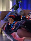 Cozy Dog on the Couch