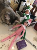 Christmas Cheer with Furry Friends