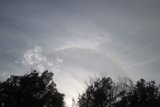 Nature's Colorful Display
