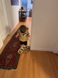 Little Explorer