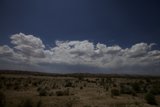 Desert Skies