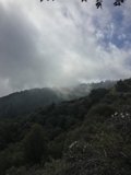 Majestic View from Hilltop