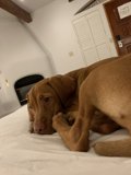 Lazy Days with My Best Friend