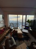 Cozy Interior with Furry Companion
