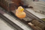 Glittery Rubber Duck Rides a Model Train Flatcar