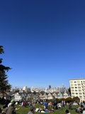 Sunny Afternoon at Alamo Square