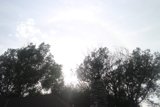 Rainbow Over the Forest