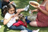 Enjoying a Picnic on the Grass