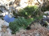 Rocky Creek