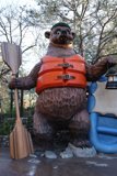 The Adventurous Bear