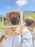 Beekeeping in the Countryside