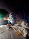 Cozy Camping Mornings in the Presidio