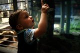 Marvel at Marine Life - Young Explorer at the California Academy of Sciences