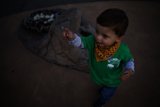 The Young Explorer