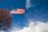Patriotic Flag Flying High