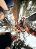 Woodland Gathering in Guerneville