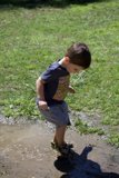 Splashing in the Walnut Creek Sun