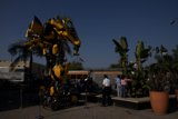 Big Bot Basking in Blue Skies