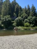 Kayaking through the Wild