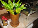 Foliage in a Decorative Vase