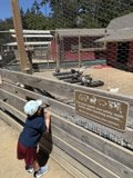 Curious Explorers at Tilden Nature Area