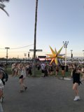 A Stroll Among the Palms