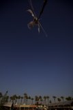 Soaring with the Sun