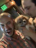 Pups and Pints