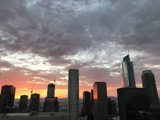 Golden Hour in the Urban Jungle
