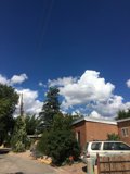A Peaceful Neighborhood View