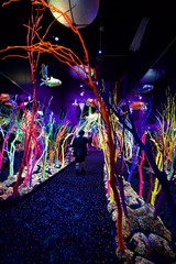 Neon Underwater Forest Installation in Immersive Art Gallery