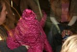 Pink Stuffed Animal Companion