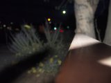Illuminating the Night