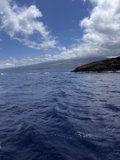 Island Escape
