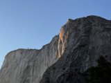 Sun-kissed Beauty in Yosemite National Park