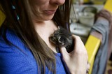 Tender Moment: Woman Cradles Tiny Newborn Kitten
