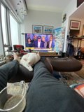 Cozy Afternoon with Feline Friend