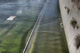 Serene Canal Flow