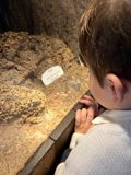 Wonders Behind Glass