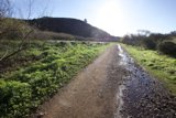 Sunlit Journey Through the Headlands