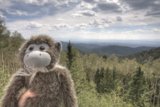 Monkeying around the mountain